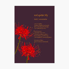 See more ideas about red spider lily, lily tattoo, tattoos. Red Spider Lily Gifts Merchandise Redbubble