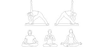Yoga Yapan Insanlar Yoga Hayvanlar Insan