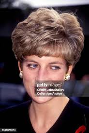 613 John Wolfson Photos & High Res Pictures