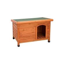 Important features for winter dog houses. Ware Premium Plus Dog House Petco