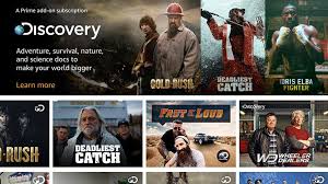 Bosch, considered by many to be amazon prime's hidden gem, is now on its fifth season, and deservedly so. Amazon Adds Live Tv Channels To Prime Video Bbc News
