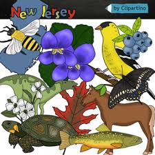 The current design of the flag was adopted as the official state flag of new jersey in 1896 and its colors, buff and dark blue (or jersey blue), were chosen by george washington for the state's army regiments during the revolutionary war. New Jersey State Symbols Clipart By Clipartino Tpt