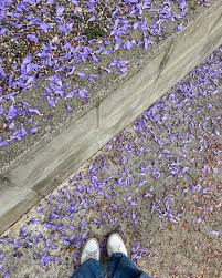 Bianca Elliott (@soullowellness) • Instagram photos and videos