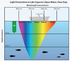 Fishing Lure Color Selection Chart Google Search Trout