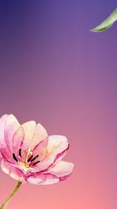 Homescreen Wallpaper For Iphone 6 6s 7 And Iphone 6 6s 7 C Cuptakes Cuptakes Wallpapers Spring Wallpaper Iphone Wallpaper