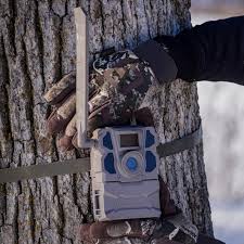 Tactacam reveal x pre order. Tactacam Reveal X Trail Camera Buck It Ready