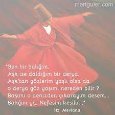 pin on mevlana