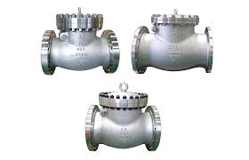 Products Cryo Swing Check Valves