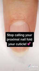 Cuticle Vs Proximal Nail Fold Video Short Nails Nails Nail Art Designs