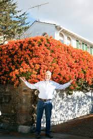 Flowering vine plants planting flowers garden plants balcony gardening backyard fences garden fencing backyard landscaping clematis gardens. Orange Trumpet Creeper Burke S Backyard