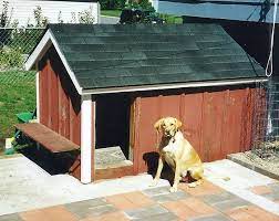 Gracie is a nice young trained gun dog. My Yellow Lab Spartacus In Front Of His 2 Room Heated Dog House Heated Dog House Dogs Dog House