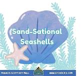 SAND-sational Seashells