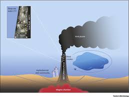 In july 2008, we discovered a deep vent field 'loki's castle' on the amor at 73°30′n and 8°e , and revisited it in 2009 and 2010 for additional sampling. Colonization Of Black Smokers By Hyperthermophilic Microorganisms Trends In Microbiology