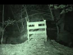 Before it's news® is a community of individuals who report on what's going on around them, from all around the world. Alien Or Demon Caught On Camera By Cornwall Ghost Hunter At Kennall Vale Wood Cornwall Live