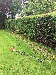 Request a quote from garden services near you today with yell. Trimming Hedges All Day Sligo Lawn And Hedge Cutting Facebook