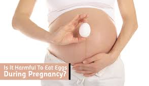 Eggs During Pregnancy Benefits Risks And Ways To Include It In Your Diet