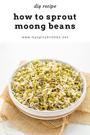 Homemade Moong Sprouts In 2020 Stir Fry Ingredients Sprouts Indian Side Dishes