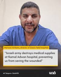 Dhyani D'Souza (@Northotago)