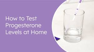 Image result for Progesterone
