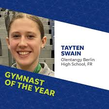 All winners: 2023 Central Ohio High School Sports Awards