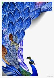 Image Result For Peacock Png Peacock Feather Art Peacock Wall Art Feather Art
