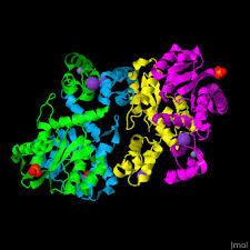 Image result for Integrase Strand Transfer Inhibitor