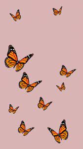 Pin On Disney Phone Wallpaper In 2020 Butterfly Wallpaper Iphone Iphone Wallpaper Vsco Backgrounds Phone Wallpapers