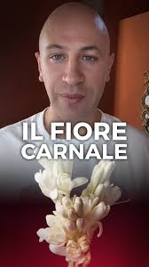 Oggi parliamo della tuberosa e di 3 profumi che la contengono., è un fiore  noto per il suo profumo intenso e sensuale, è definita il fiore carnale, ed  è ampiamente utilizzata nella profumeria, per la ...