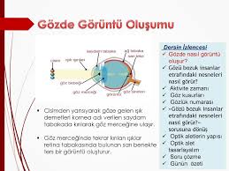 Gozde Goruntu Olusumu Ve Goz Kusurlari Ppt Indir