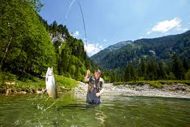 Maybe you would like to learn more about one of these? Euer Erlebnisreicher Berg Urlaub In Grossarl Im Salzburger Land