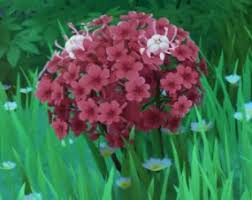 Can u buy silk flowers genshin impact. Where To Buy Silk Flowers In Genshin Impact Alfintech Computer