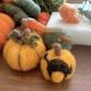 Needle Felting: Pumpkins & Gourds Workshop event image