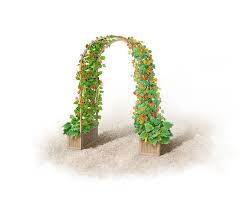 Arche de jardin robuste qui ne se plie pas. 6 Styles D Arche De Jardin Pour Booster La Decoration Exterieure