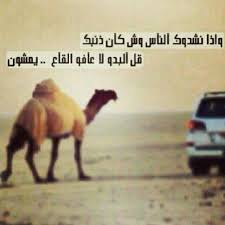 قل البدو لا عافو القاع يمشون Za English Quotes Arabic Quotes Quotes