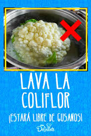 Como siempre hago, explicaré como se hace el platillo y pondré fotos de todos los pasos para cocinarlo otra de las ventajas del puré de coliflor es que puede ser más práctico y rápido elaborarlo que el puré de patata. Como Lavar La Coliflor Como Cocinar Coliflor Comidas Con Coliflor Coliflor