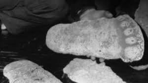 Hd wallpapers and background images. Bigfoot Evidence Seen In Dna Study Scientist Claims Species Is Real Makes News Video Abc News