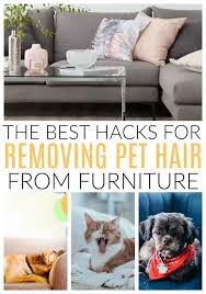 The best way to get rid of cat hair everywhere is to take a 3 step approach. Best Hacks For Removing Dog And Cat Hair Cat Hair Removal Pet Hair Removal Furniture Pet Hair Removal