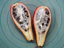 Image result for Telfairia pedata