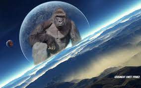 This is my video tribute for the late comedian/actor eddie murphy who died tragically this morning. Harambe Wallpapers Wallpaper Cave