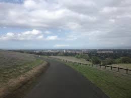 For those who enjoy hiking, a favorite with students and professors is the stanford dish hiking trail, stanford ave/junipero serra blvd; Stanford University Spring Spring Songbirds On The Stanford Dish Trail Santa Clara Valley Audubon Society
