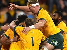 Shock bledisloe cup return for unwanted wallaby. 0suvo4pdgcb9gm