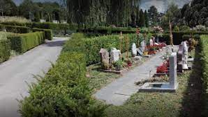 Ea a fost înmormântată la cimitirul la ora 12:40, sicriul, purtat pe umeri de militari ai brigăzii de gardă mihai viteazul, va fi dus la noua catedrală arhiepiscopală și regală unde, la ora. Cum A Murit Regina Elena Misterul Din Jurul Crucii De La Mormantul MajestÄÈii Sale Din ElveÈia Impact