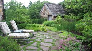 Maybe you would like to learn more about one of these? Low Maintenance Ground Covers To Go With Your Pavers