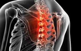 We did not find results for: Nyeri Punggung Bisa Jadi Gejala Awal Kanker Payudara