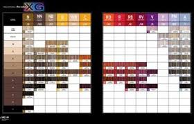 Paul Mitchell The Color Xg Color Chart July 2015