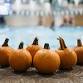 Jack-O-Float event image