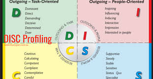 Disc Insights Personality Profiling Services Blu Ripples