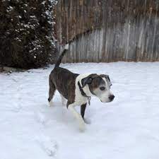 Check spelling or type a new query. Pet Care Clinic 15 Photos 19 Reviews Veterinarians 1151 E Fairview Ave Meridian Id Phone Number Yelp