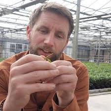 Hoe belangrijk zijn bomenlanen?