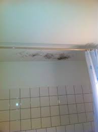 Ich würde dir einen fensterwischer. Schimmel Im Bad Tipps Hausmittel Zur Fleckenentfernung